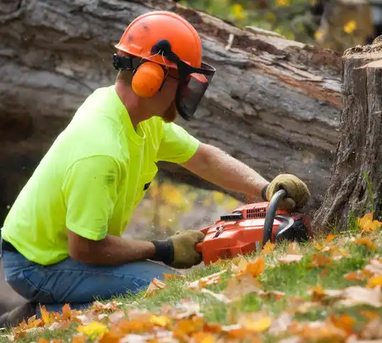 tree services Ridgecrest